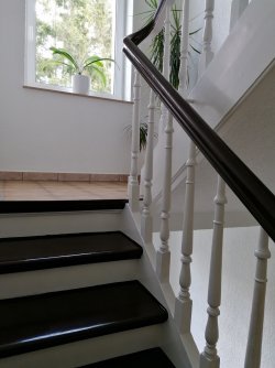Gepflegtes Treppenhaus Gepflegtes Treppenhaus