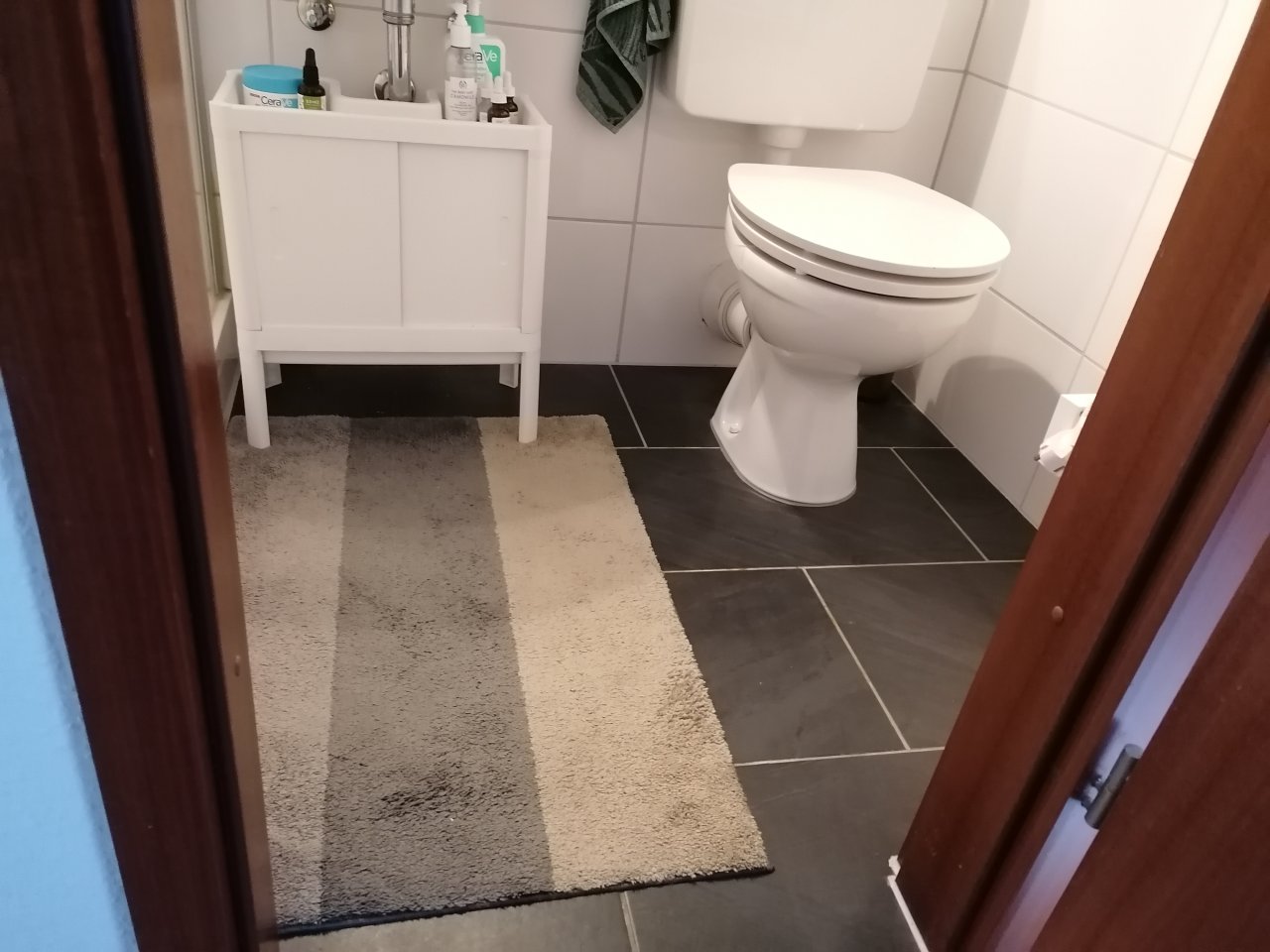 EG-links Duschbad EG-links Duschbad