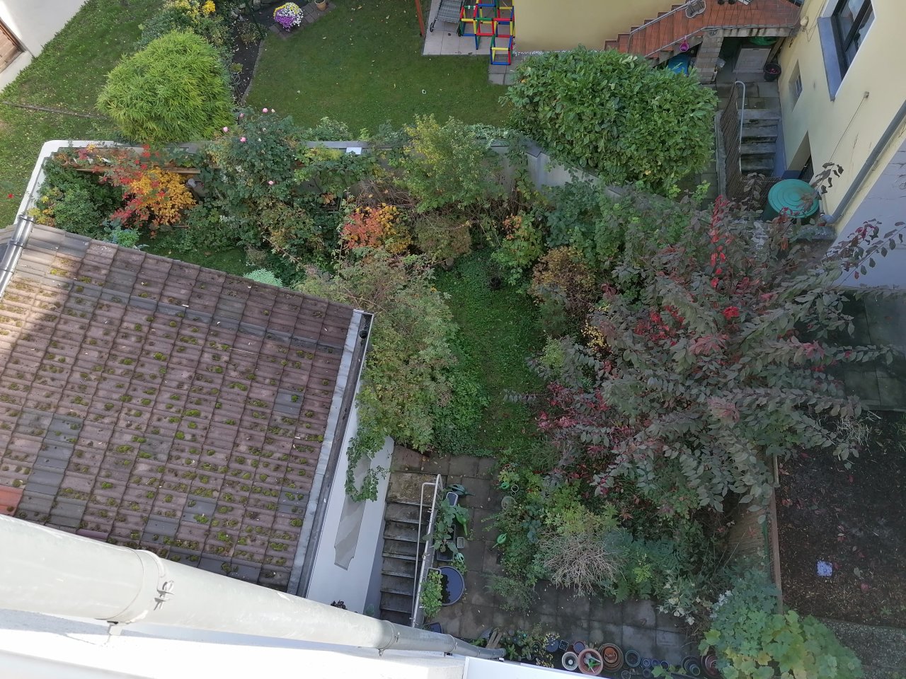 Blick in den Gemeinschaftsgarten Blick in den Gemeinschaftsgarten