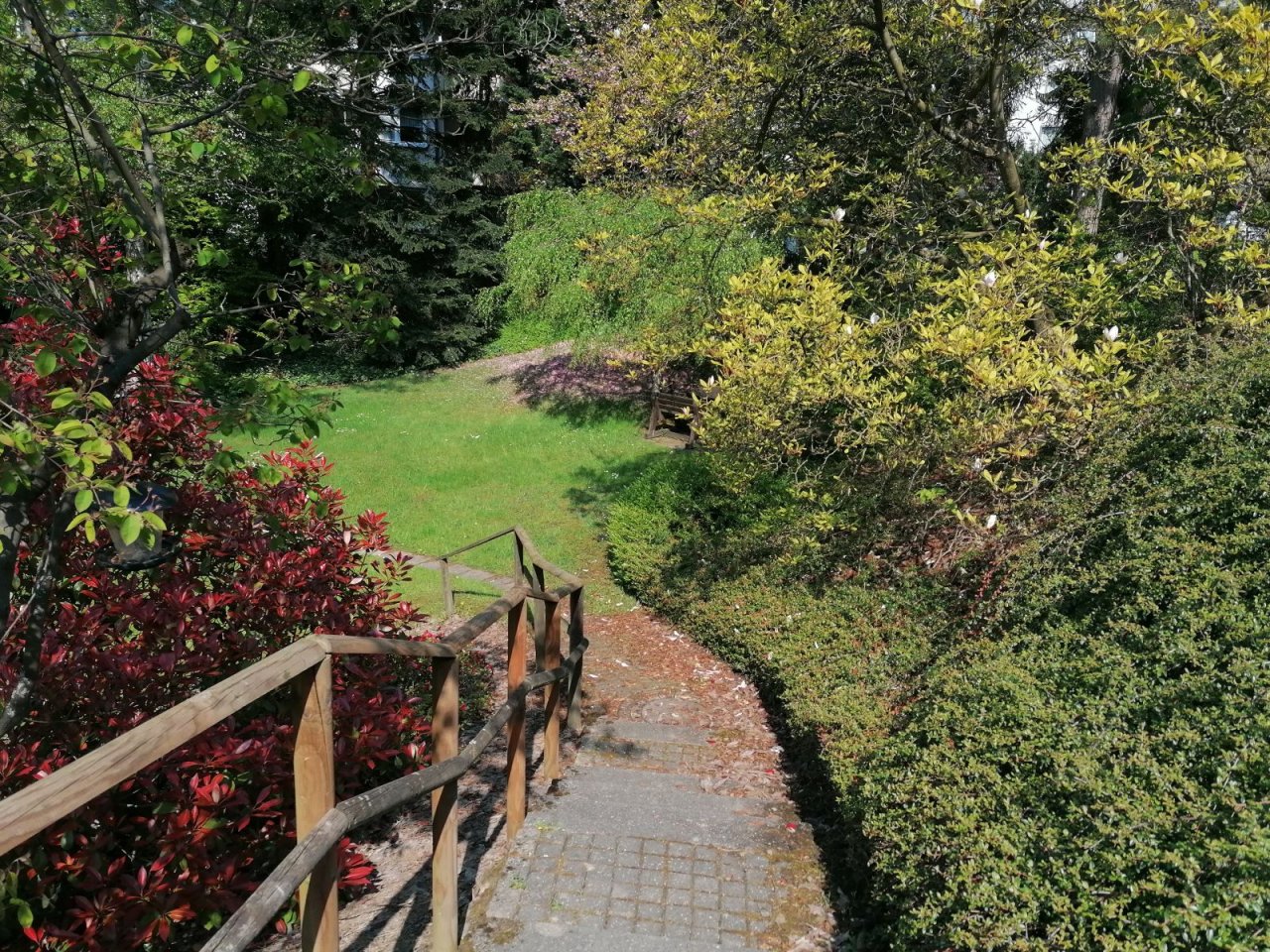 Weg zum Gemeinschaftsgarten Weg zum Gemeinschaftsgarten