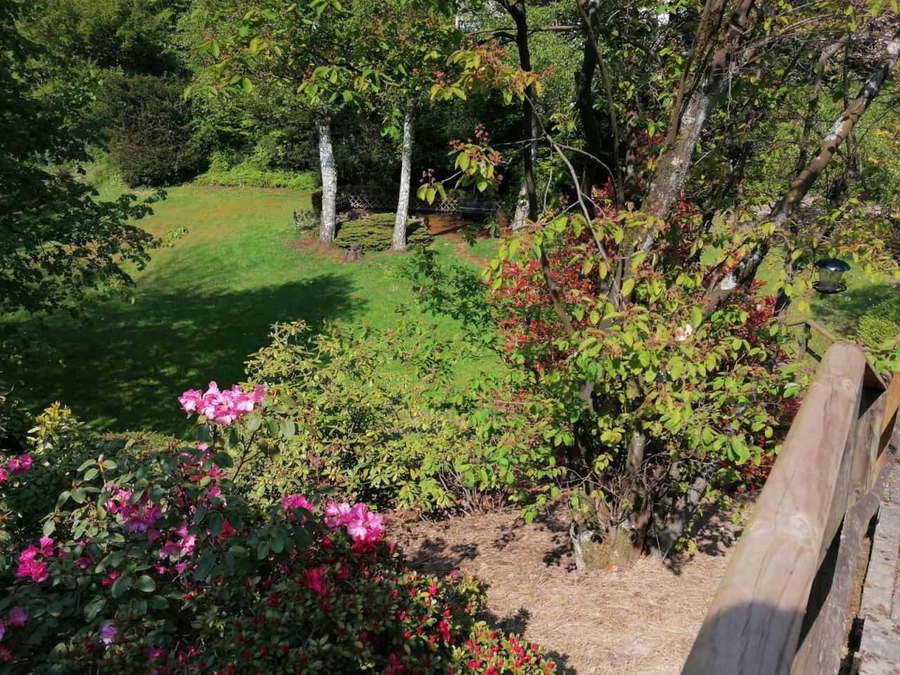 Blick in den Gemeinschaftsgarten Blick in den Gemeinschaftsgarten